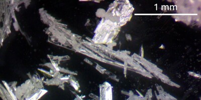 magnafied image of crystals from AT006-1